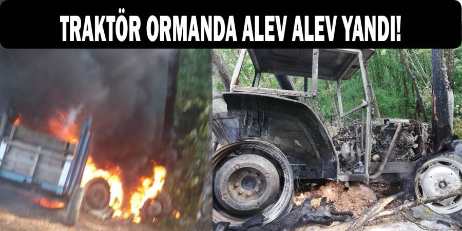 Traktör Ormanda Alev Alev Yandı!
